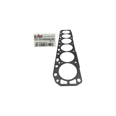 EMPACADURA CAMARA FORD 300