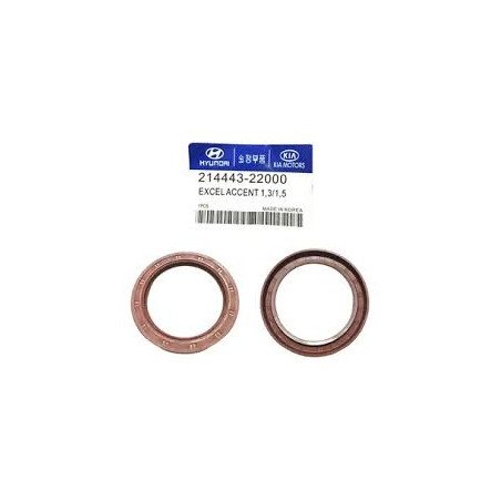 ESTOPERA DE CIGUEÑAL TRASERA HYUNDAI ACCENT GETZ ELANTRA BRISA EXCEL 72X96X9