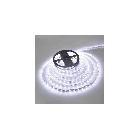 CINTA LED 5M BLANCA
